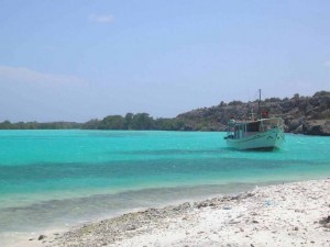 una spiaggia di isla La tortuga